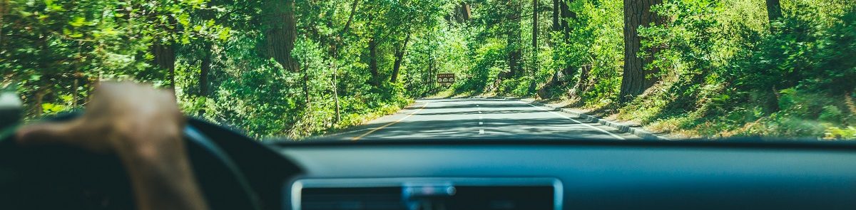 austin-neill-246588-unsplash